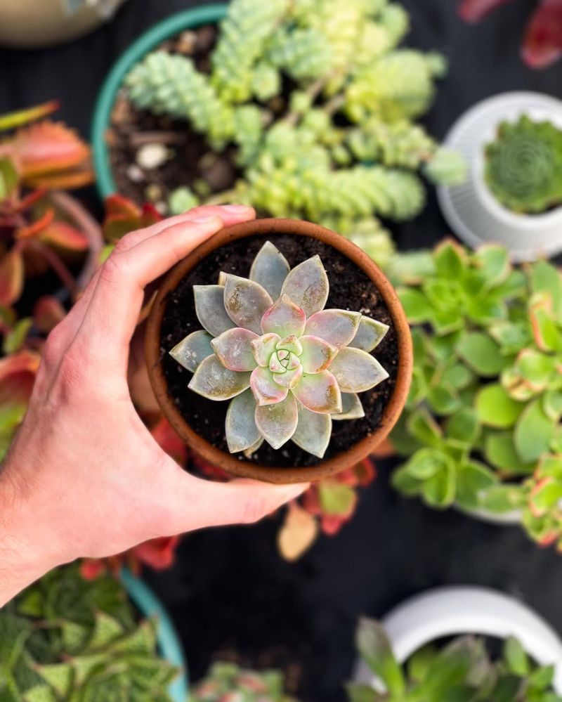 Not Adjusting Care Between Seasons