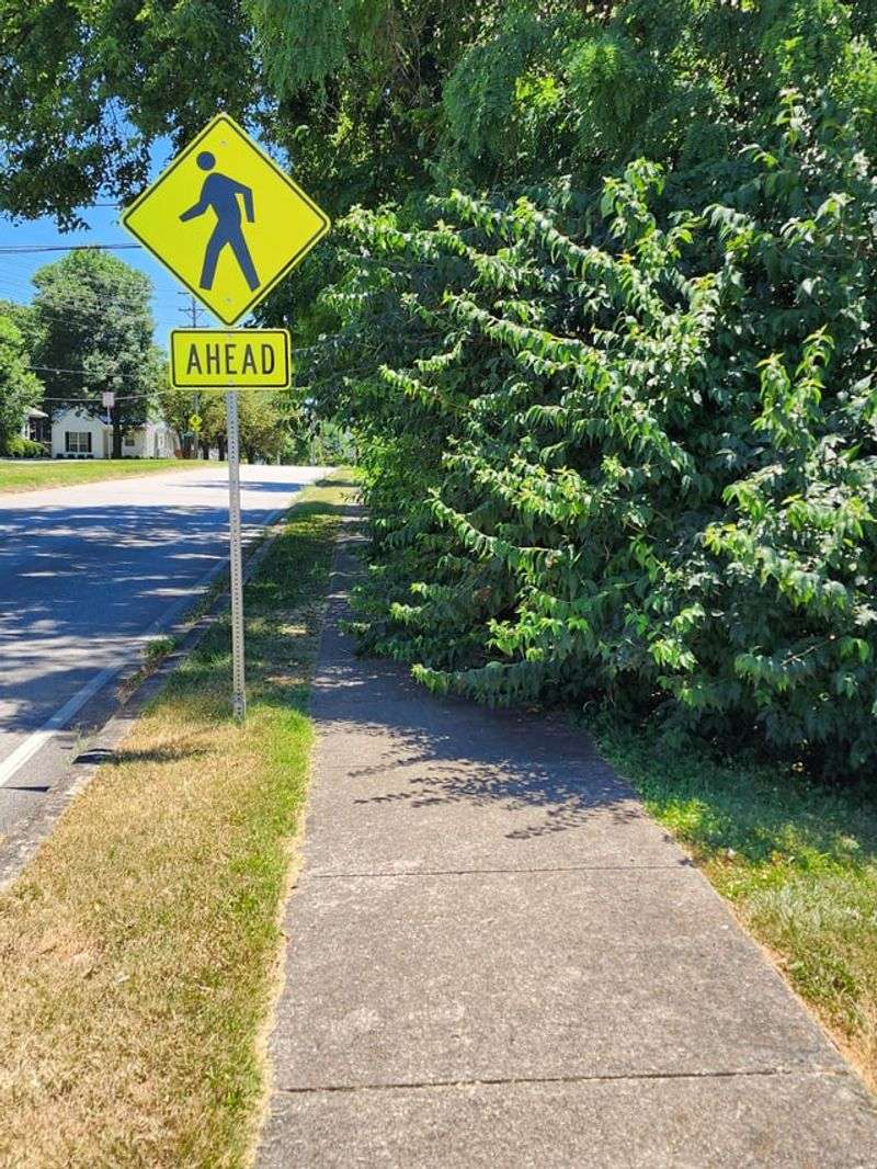 Blocked Sidewalks And Driveway Sightlines