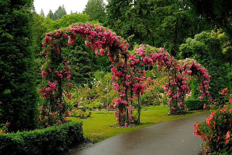 Choosing Plants That Fight Florida Weather
