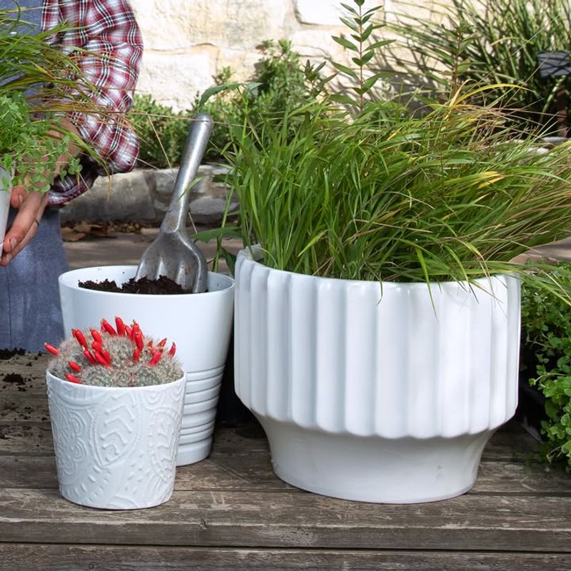 Moving Containers Refreshes The Whole Space