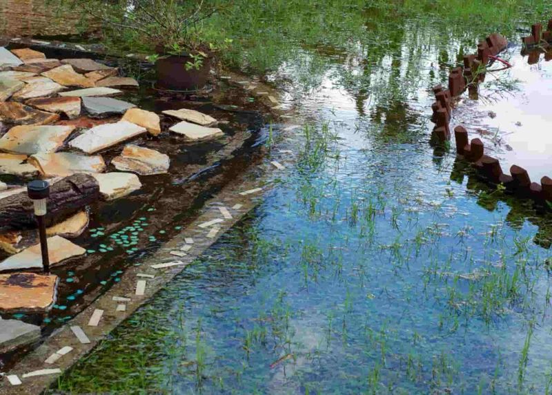 Poor Drainage Designs That Lead To Flooding And Root Rot