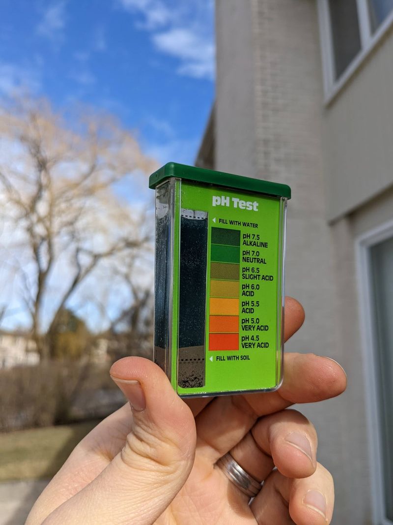 Soil pH That Is Too Alkaline