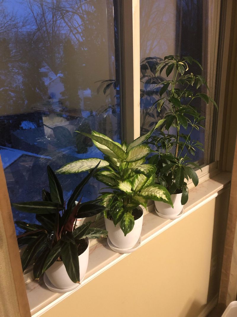 Ignoring Dry Winter Air From Heating Systems