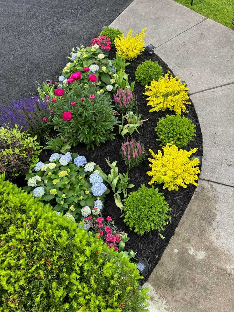 Crowding Plants Too Close Together