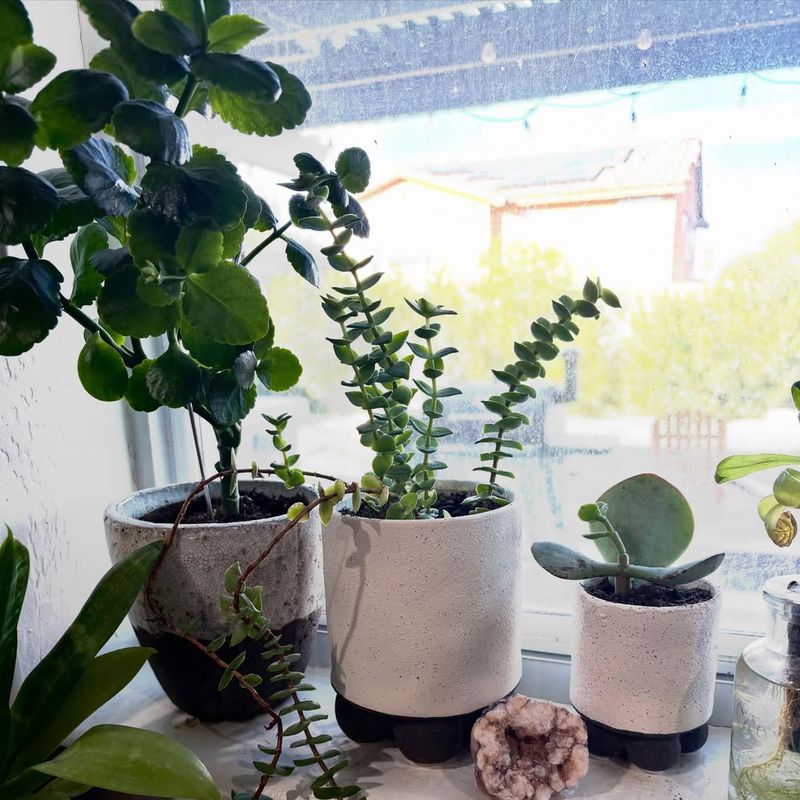 Leaning Or Tilting Toward Windows