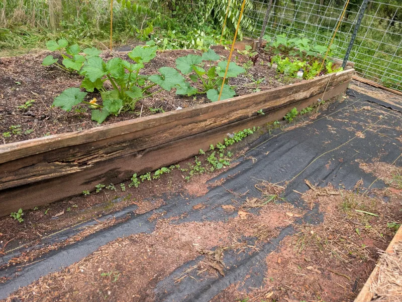 Garden Beds And Soil Erosion