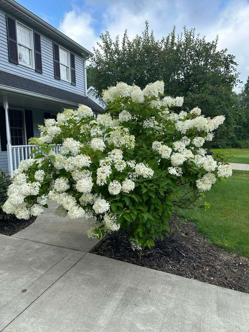 Adjust Timing Based On Flowering Habits