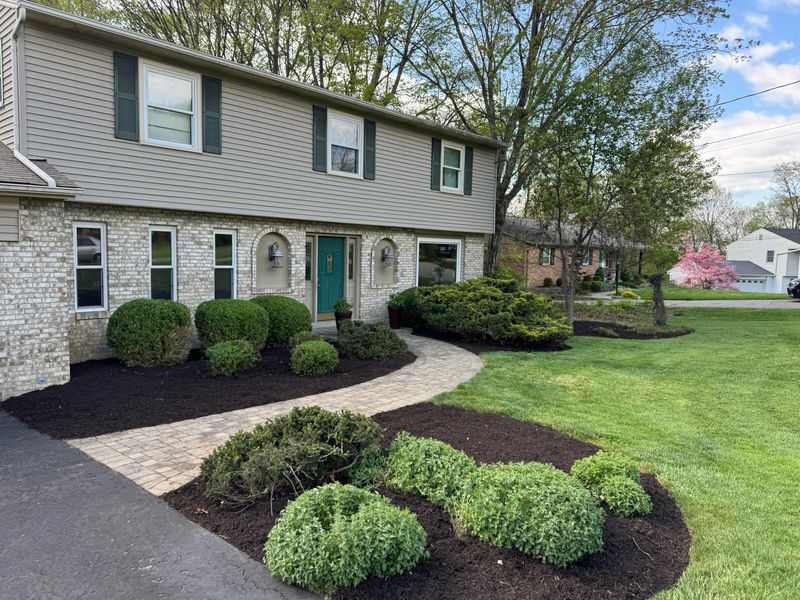 Timing Yard Cleanup Before Seeds Fully Spread