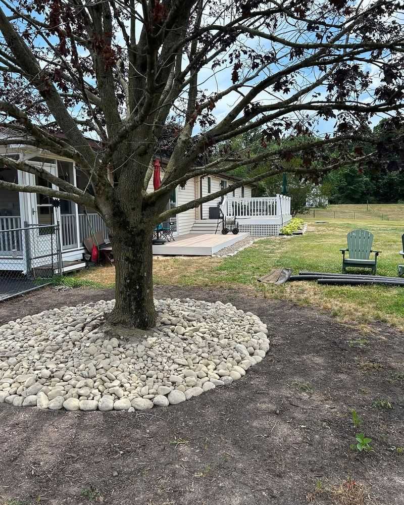 Rock Mulch Around Trees