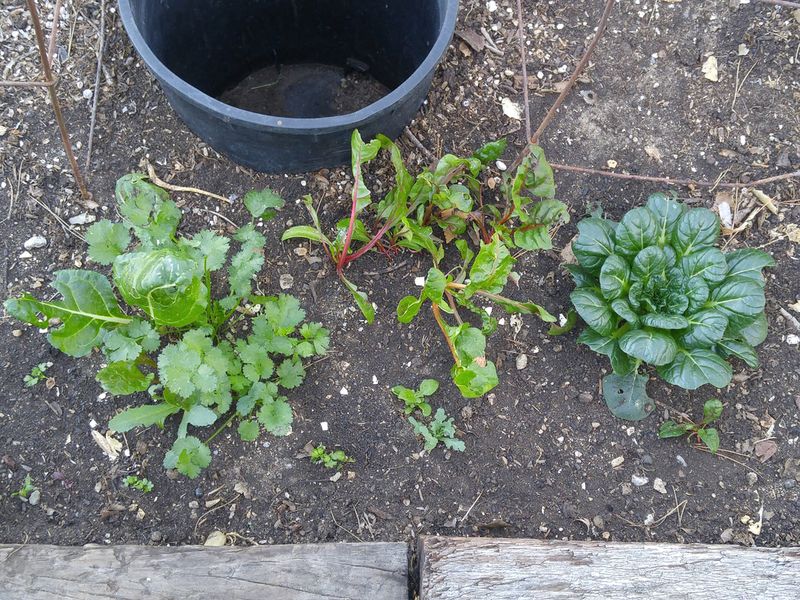 January Rainfall Helps Maintain Soil Moisture