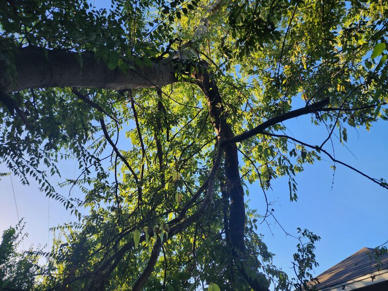 Negligence Changes Everything About Liability