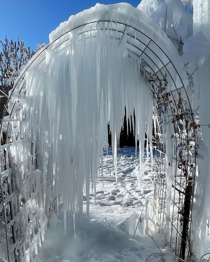 Garden Structures Like Trellises And Arbors