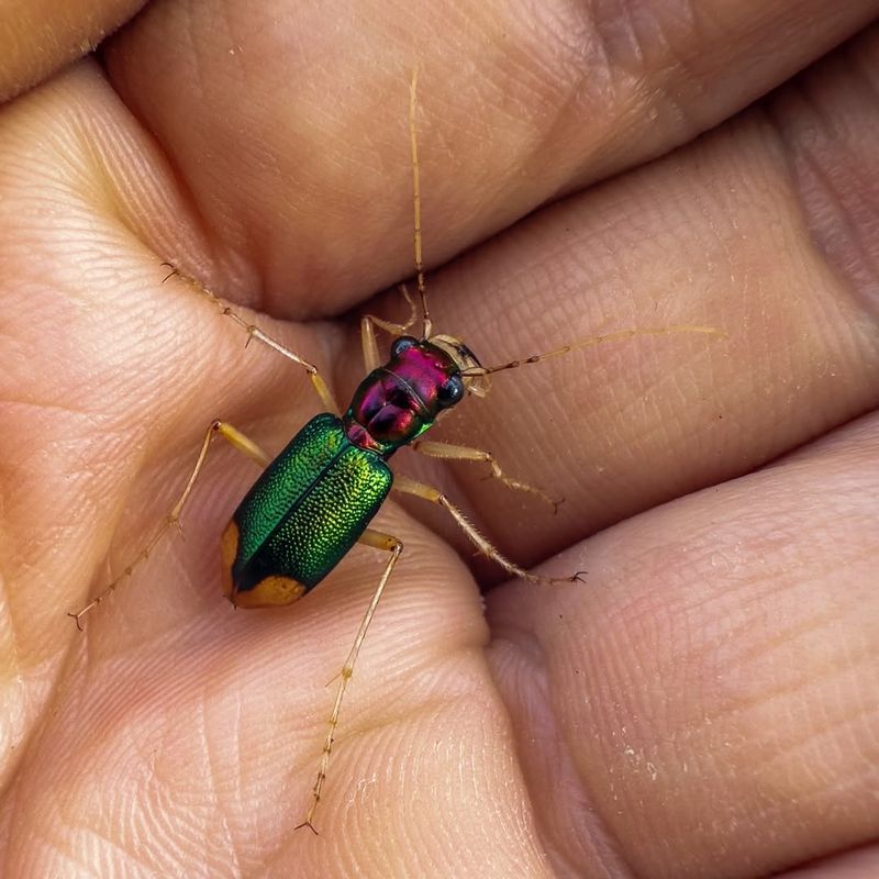 Unique Habitat Requirements Create Learning Moments