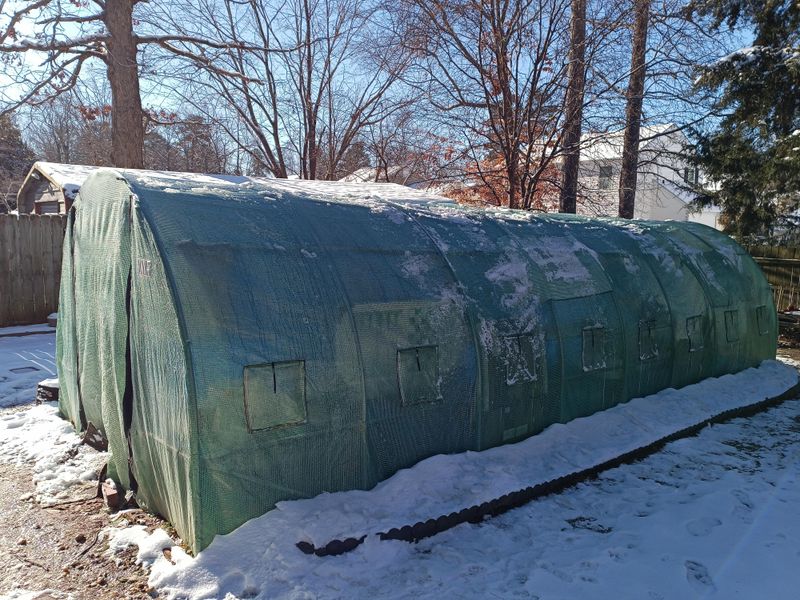Smart Milk Jug Placement For Faster Germination
