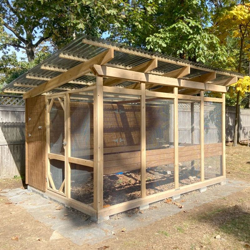 Chicken Coops And Backyard Livestock