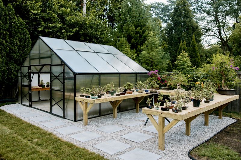Large Backyard Greenhouses