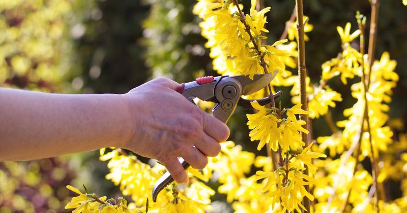 Garden Workload Remains Light During Off-Season Months
