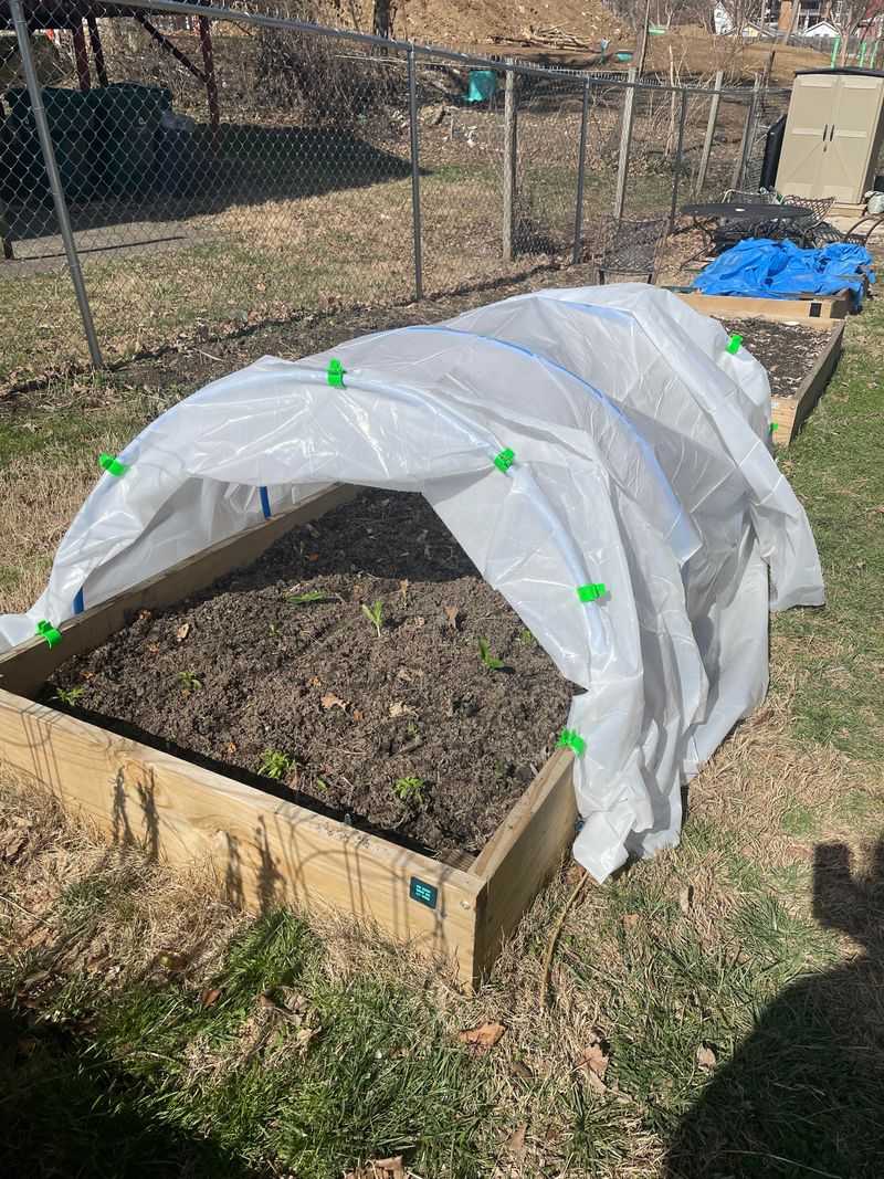 Humidity Control For Healthier Growth