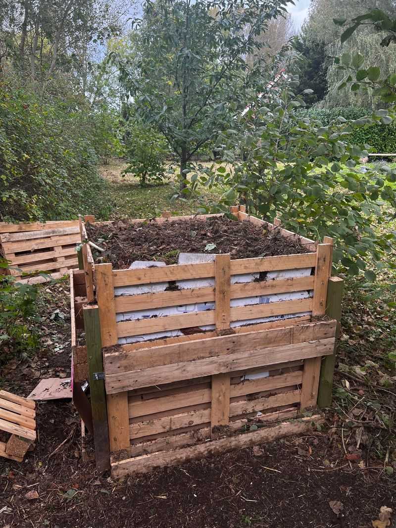 Treated Or Painted Wood