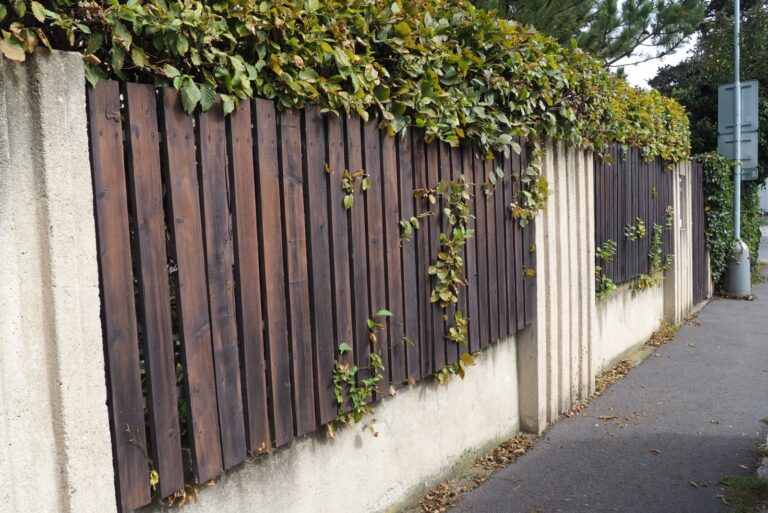 Wooden fence with green leaves between the panels