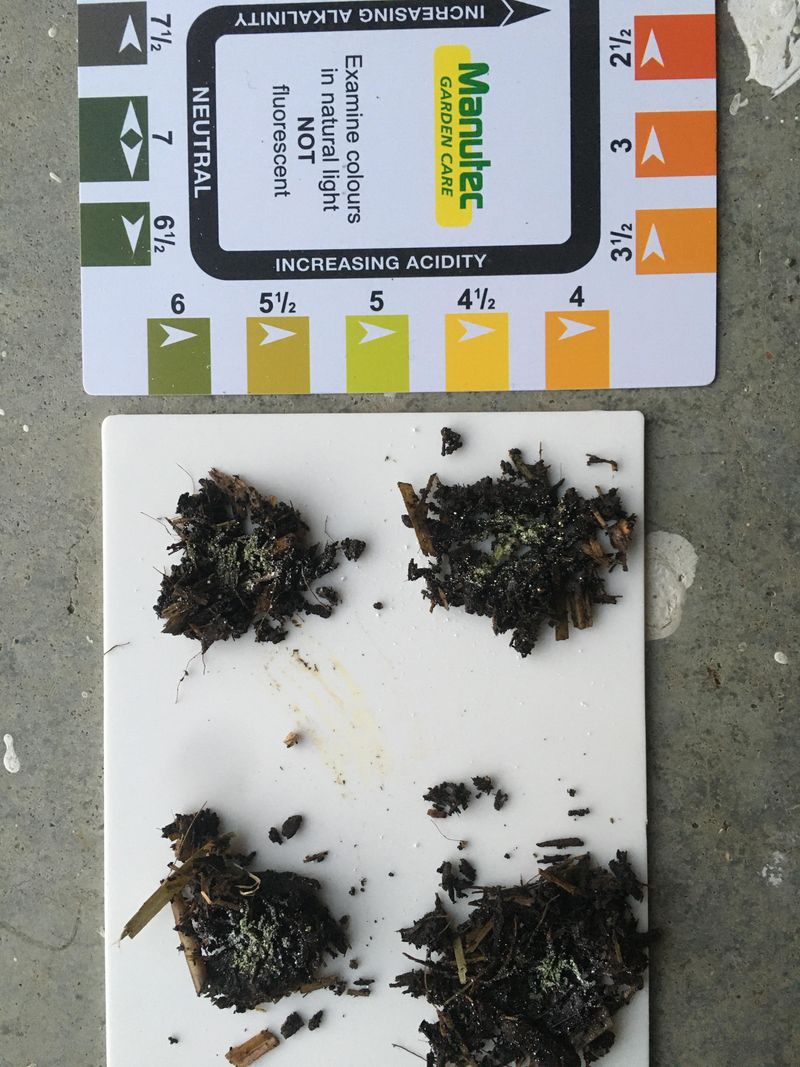 Testing For Soil pH In The Wet Season