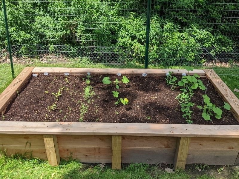 Building or Repairing Garden Structures