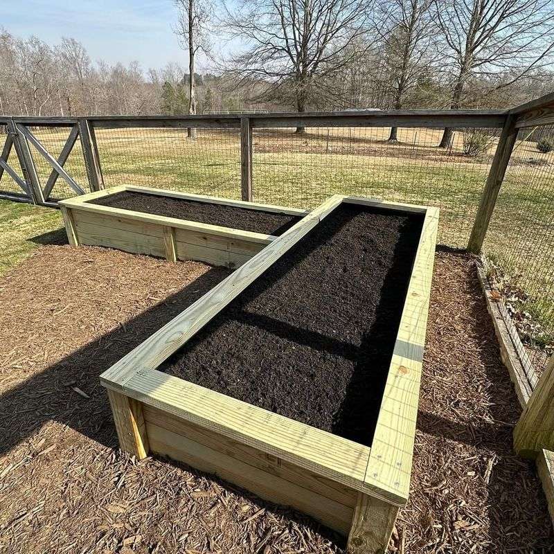 Use Well-Drained, Raised Beds Or Containers