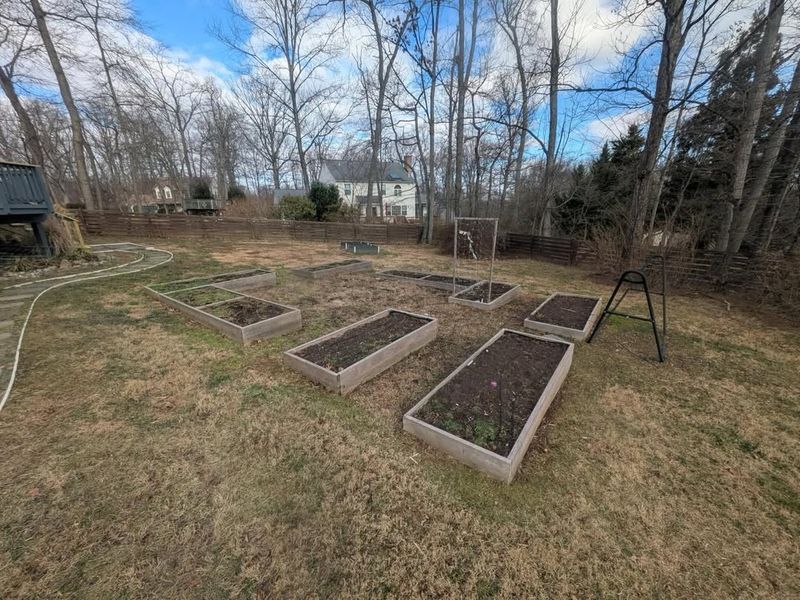 Prepare And Amend Garden Beds