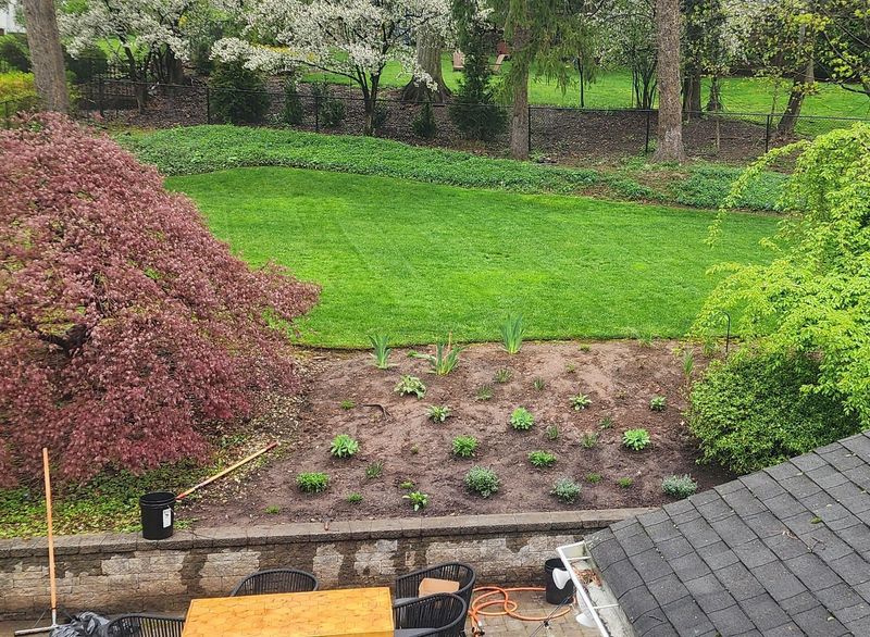 Mulch Perennial Beds and Borders