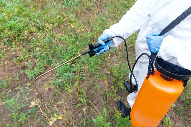 Apply Pre-Emergent Herbicide To Prevent Weeds