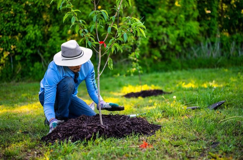 Mulch Garden Beds