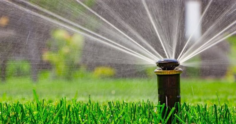 Use Motion-Activated Deterrents In High-Traffic Areas