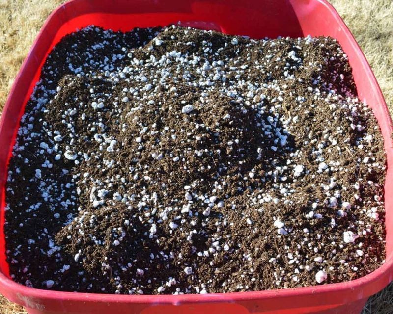 Improve Soil With Organic Matter Before Planting