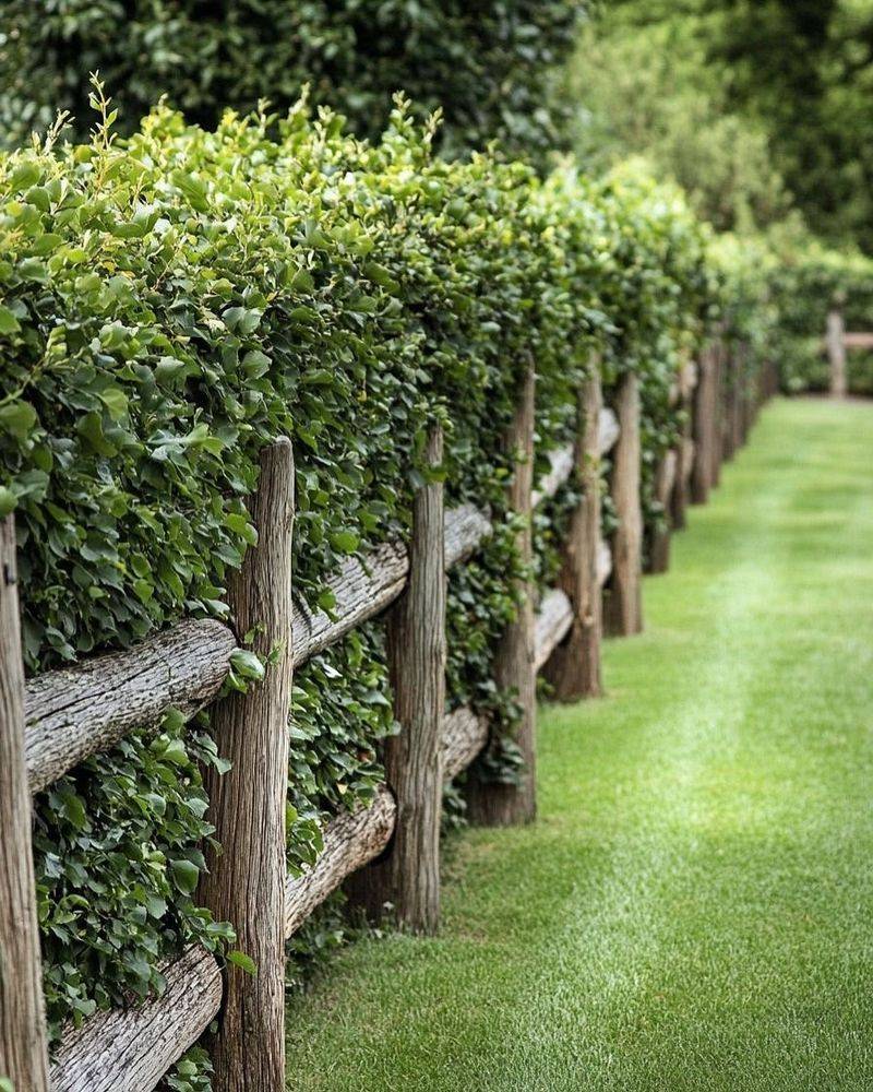 Create Windbreaks To Reduce Cold Air Movement Around Your Garden