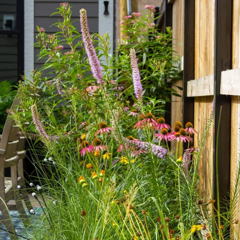 Create Layered Plantings With Different Heights