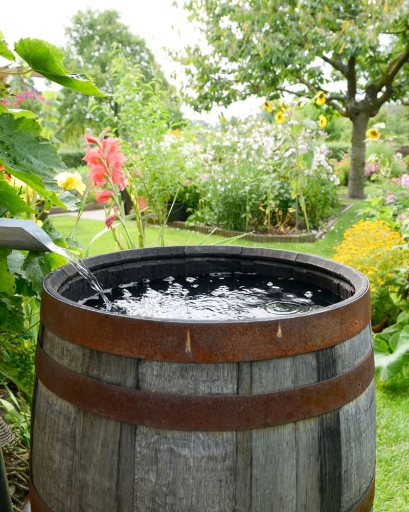 Add a Rain Barrel Collection System