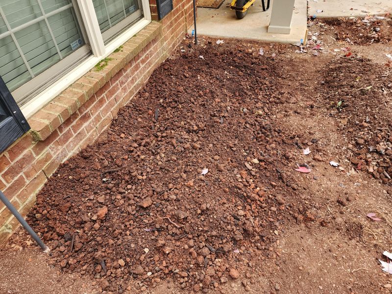 Neglecting Soil Amendments In Heavy Clay