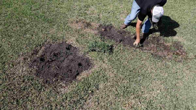 Overwatering During Cool Weather