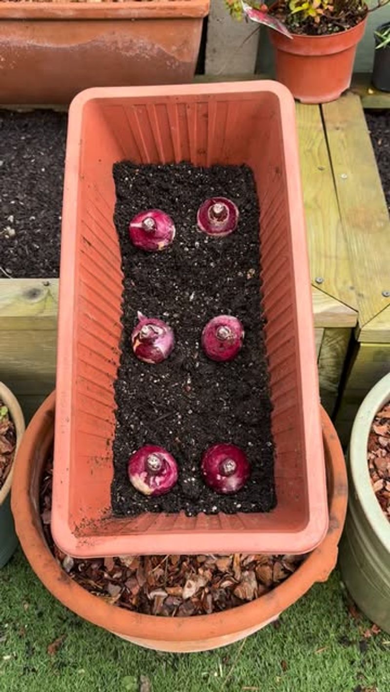 Overcrowding Bulbs in Small Spaces