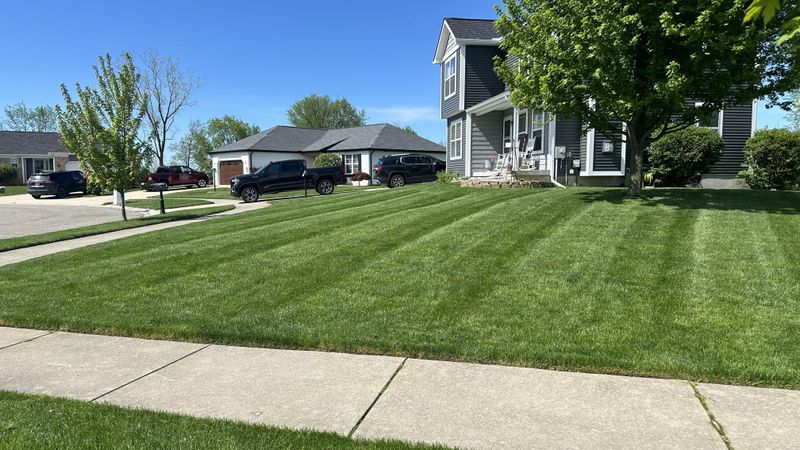 Ignoring Lawn Care Fundamentals