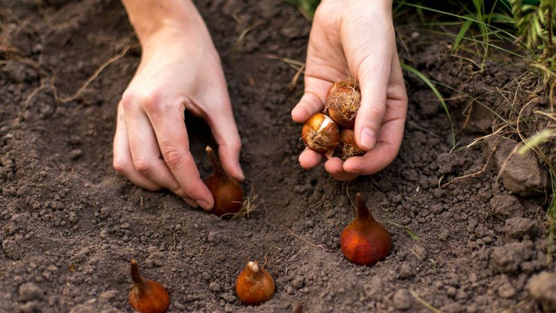 Ignoring Proper Spacing Requirements Between Bulbs