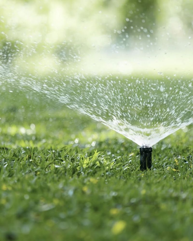 Excessive Lawn Watering During Drought Conditions
