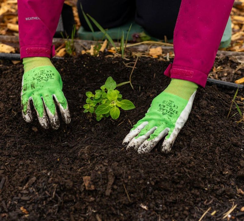 Ignoring Oregon's Unique Soil Conditions