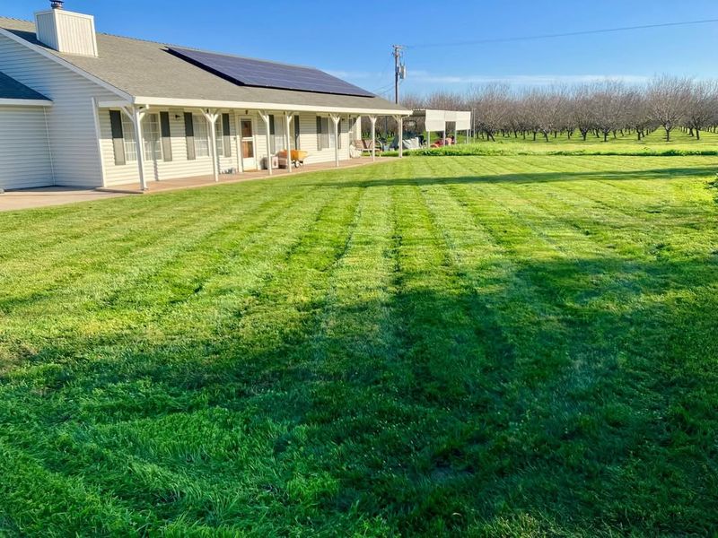 Creating High-Maintenance Lawn Areas