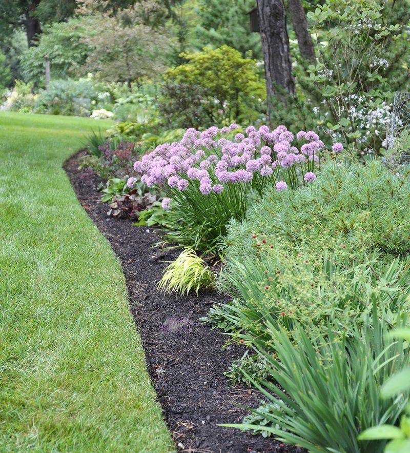 Skipping Mulch Application