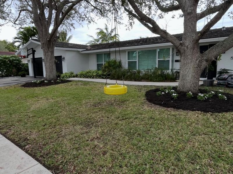 Reducing Flying Debris In The Yard