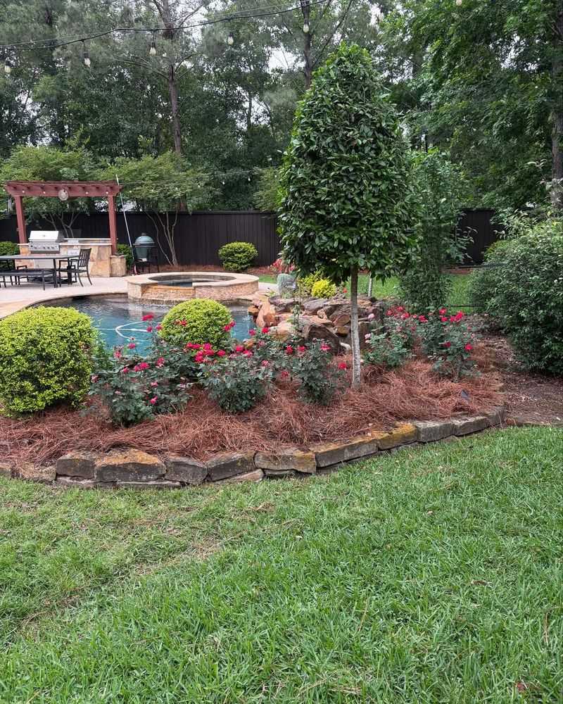 Garden Beds Look Finished Instead Of Struggling