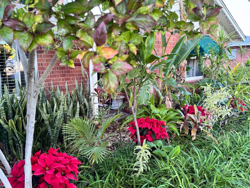 Mulch Often Needs To Be Disturbed Again Before Summer