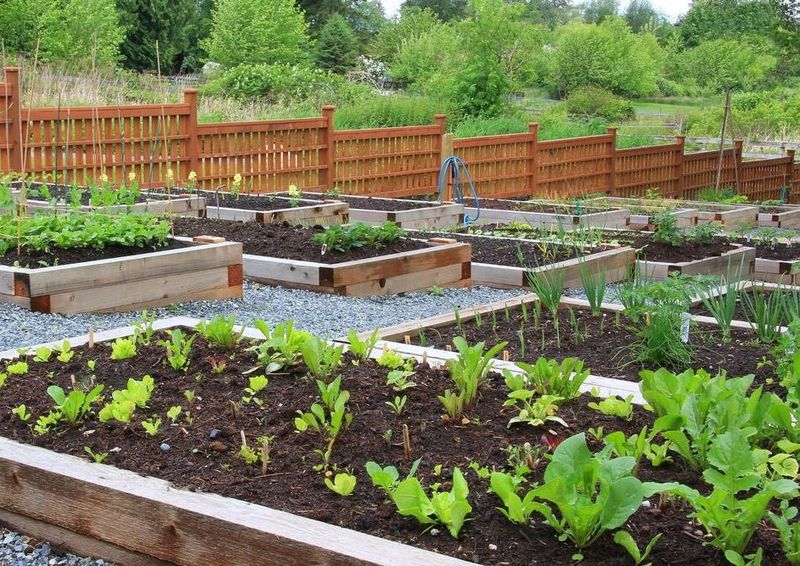 How To Adjust Your Garden Calendar For Better Results