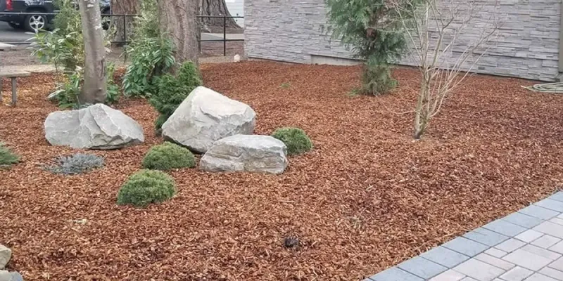 Organic Mulching Practices